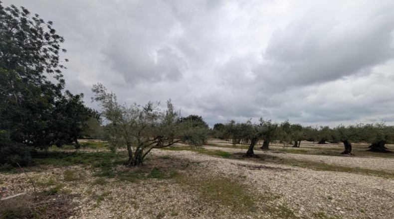 Castellón - Трайгуэра - 10961m2