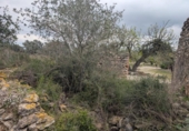 Terreno no urbanizable en venta en la España, Traiguera, ref: TR395413 foto
