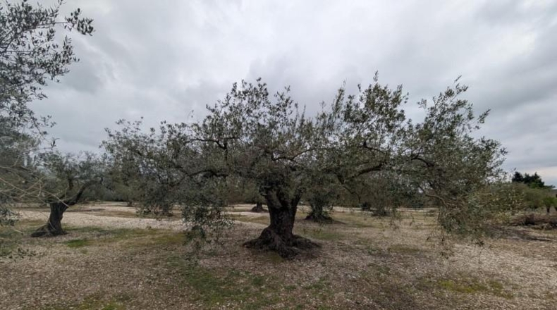 Castellón - Трайгуэра - 10961m2