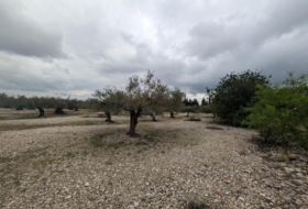 Traiguera 10961&nbsp;м²
