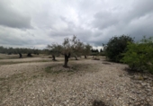 Terreno no urbanizable en venta en la España, Traiguera, ref: TR395413 foto