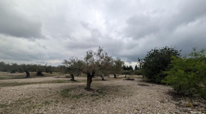 Castellón - Трайгуэра - 10961m2