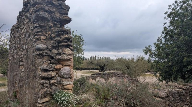 Castellón - Трайгуэра - 10961m2