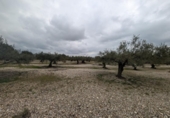 Terreno no urbanizable en venta en la España, Traiguera, ref: TR395413 foto