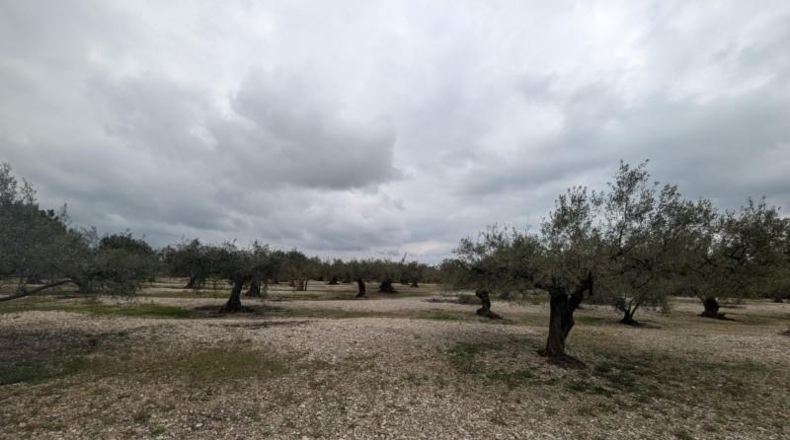 Castellón - Трайгуэра - 10961m2