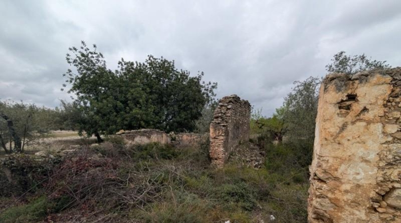 Castellón - Трайгуэра - 10961m2
