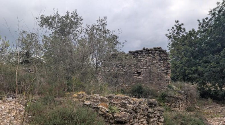 Castellón - Трайгуэра - 10961m2