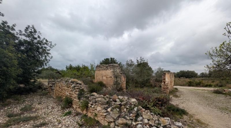 Castellón - Трайгуэра - 10961m2