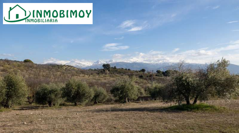 Granada - Гранада - 3388m2
