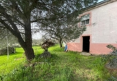 Casa de camp amb terreny en venda a la España, Malpartida de Cáceres, ref.: TR395826 foto