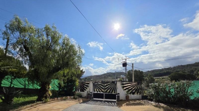 Alicante - Elda - 2313m2