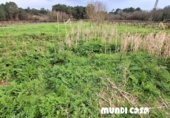 Sòl urbà en venda a Boiro de Dalt ref.: TR395391 foto