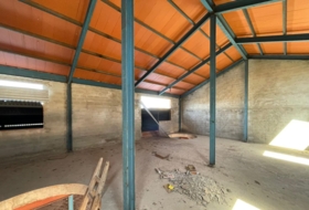 Foto 11