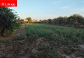 Finca rústica en venda a Tortosa ref.: TR395445 foto