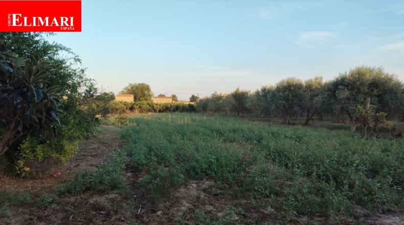 Tarragona - Tortosa - 7072m2