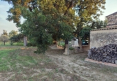 Finca rústica en venda a Tortosa ref.: TR395445 foto