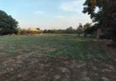 Finca rústica en venda a Tortosa ref.: TR395445 foto