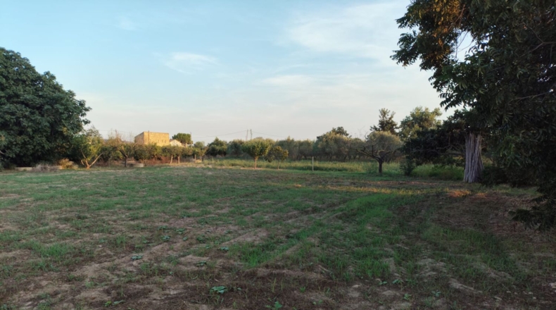 Tarragona - Tortosa - 7072m2