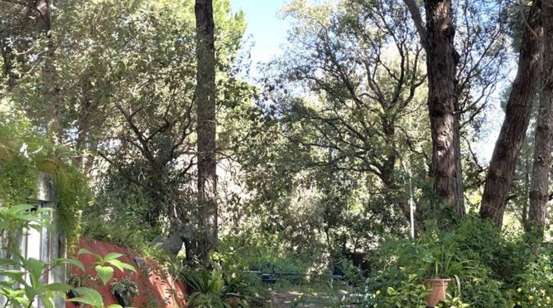 Cádiz - San Roque - 6000m2
