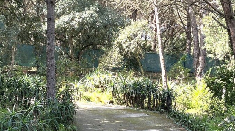 Cádiz - San Roque - 6000m2