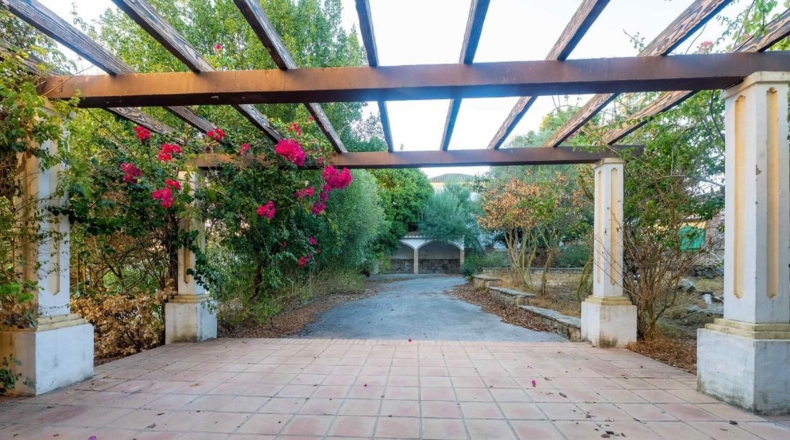 Cádiz - Benalup-Casas Viejas - 1771m2