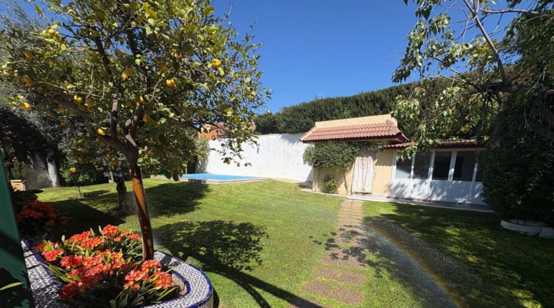 Seville - Tomares - 710m2