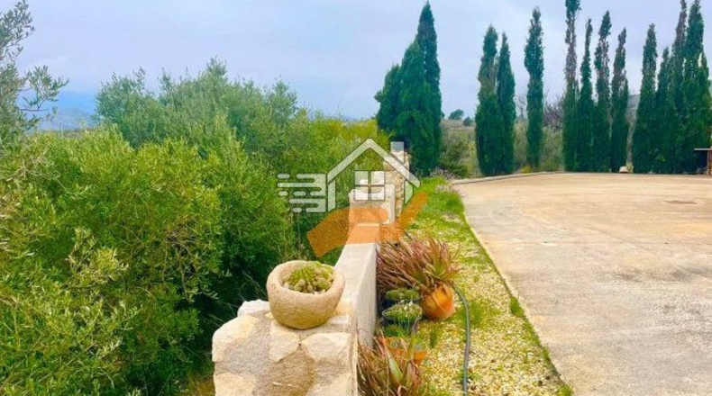 Almería - Велес-Бланко - 12000m2