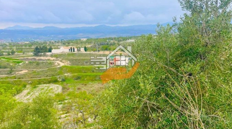 Almería - Велес-Бланко - 12000m2