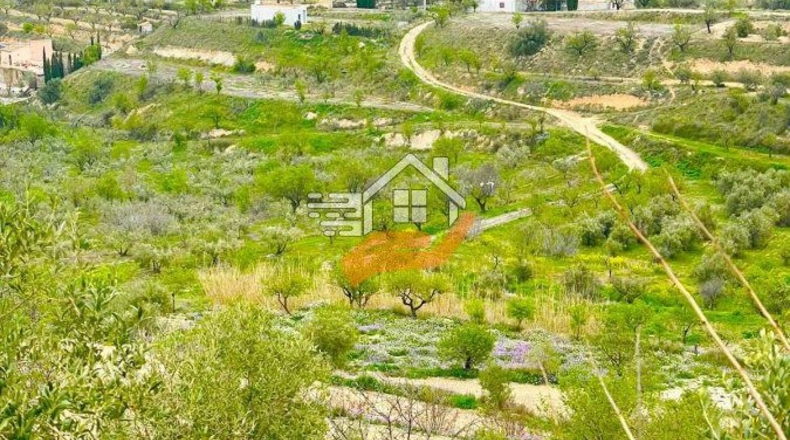 Almería - Велес-Бланко - 12000m2