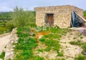 Xalet independent amb terreny en venda a Vélez-Blanco ref.: TR395425 foto