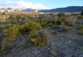 Suelo urbano en venta en la España, Villa de Otura, ref: TR395492 foto