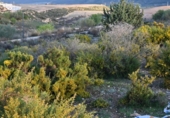 Suelo urbano en venta en la España, Villa de Otura, ref: TR395492 foto