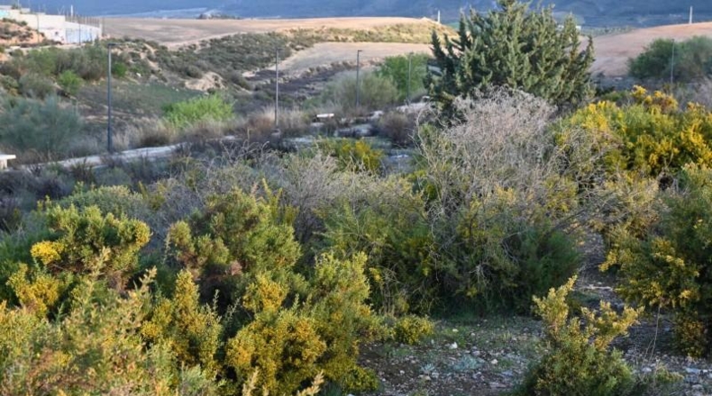 Asturias - Los Llanos - 506m2