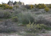 Suelo urbano en venta en la España, Villa de Otura, ref: TR395492 foto
