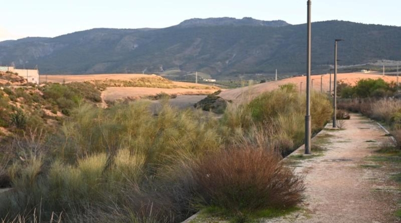 Asturias - Los Llanos - 506m2