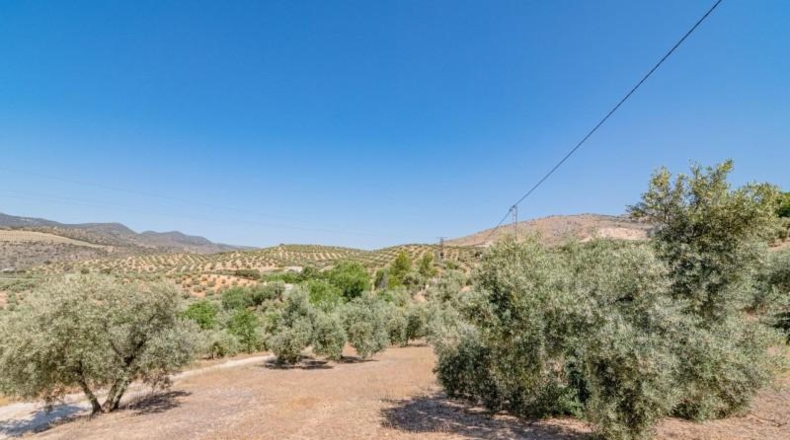 Granada - Иллора - 32787m2