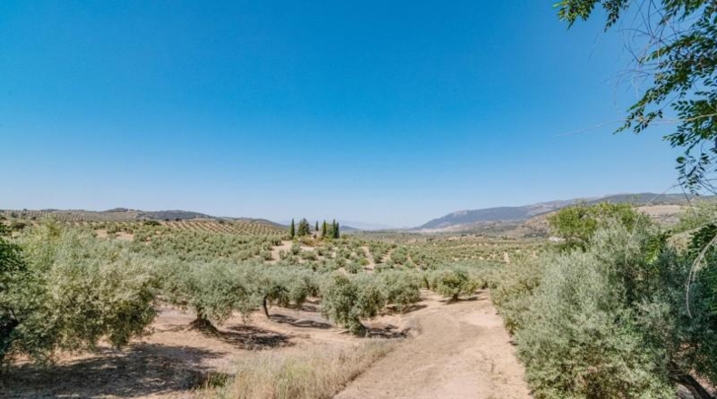 Granada - Иллора - 32787m2