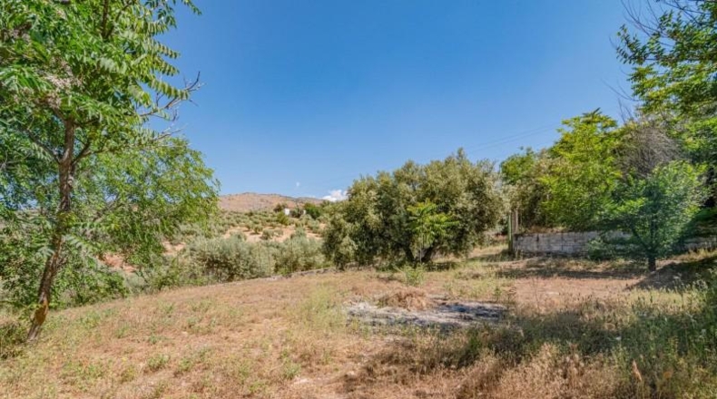 Granada - Иллора - 32787m2