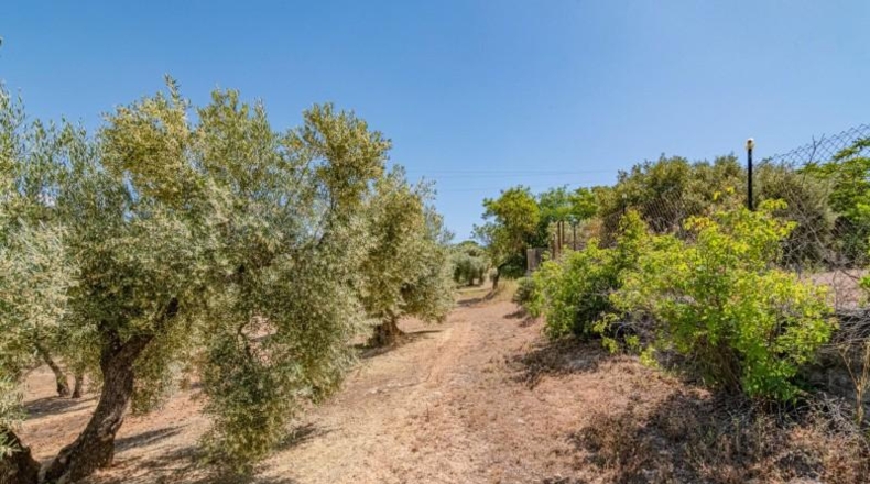 Granada - Иллора - 32787m2
