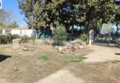 Detached villa with land for sale on España, Vilanova de la Barca, ref: TR395704 photo