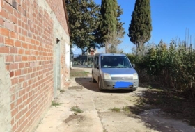 Foto 7