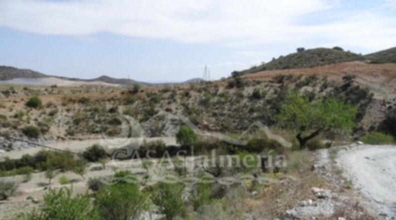 Murcia - Пуэрто Лумбрерас - 25000m2