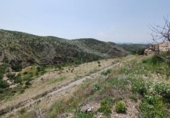 Casa de camp amb terreny en venda a la España, Huércal-Overa, ref.: TR395691 foto