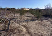 Casa de camp amb terreny en venda a la España, Huércal-Overa, ref.: TR395677 foto