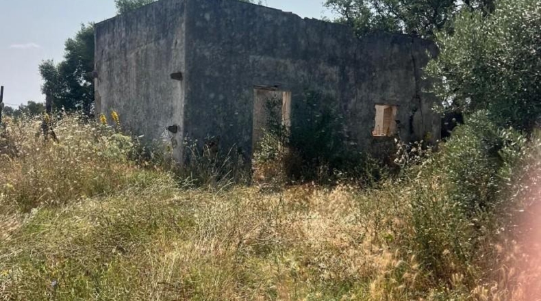 Cádiz - Jerez de la Frontera - 19000m2