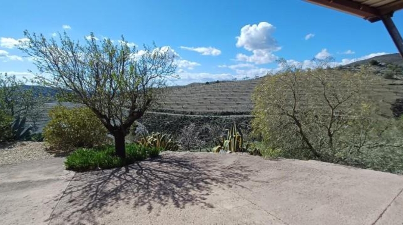 Almería - Vélez-Rubio - 29300m2