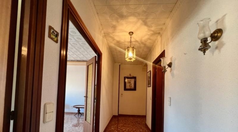 Alicante - Pedreguer - 290m2