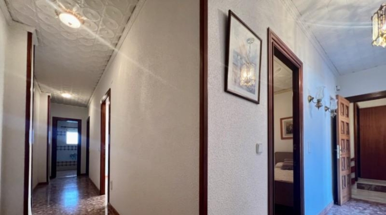 Alicante - Pedreguer - 290m2