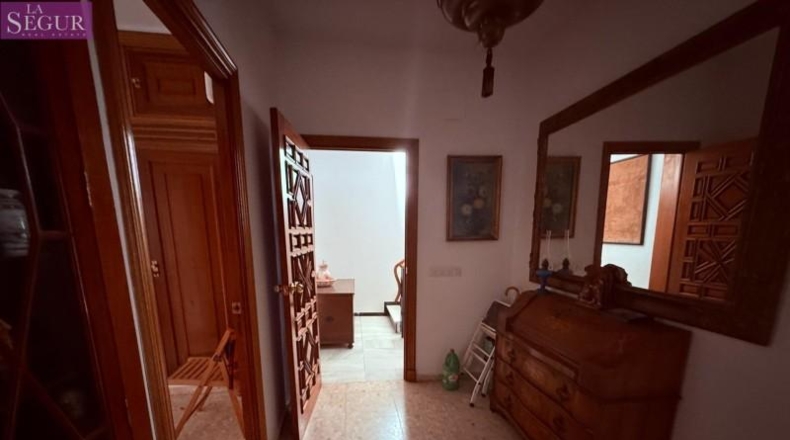 Cádiz - Benalup-Casas Viejas - 250m2