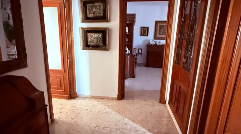 Cádiz - Benalup-Casas Viejas - 250m2